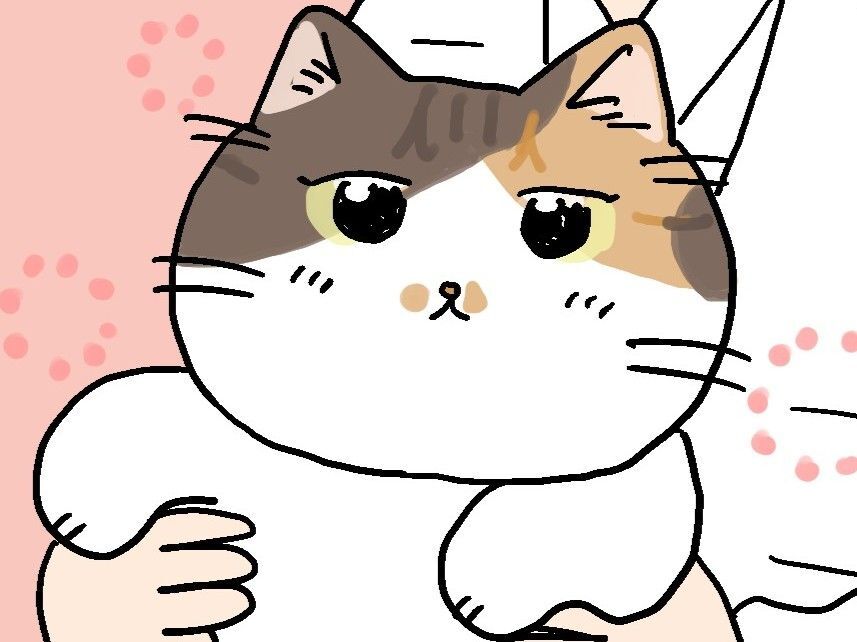 ミー子からごあいさつ。【てらねこミー子の日常】