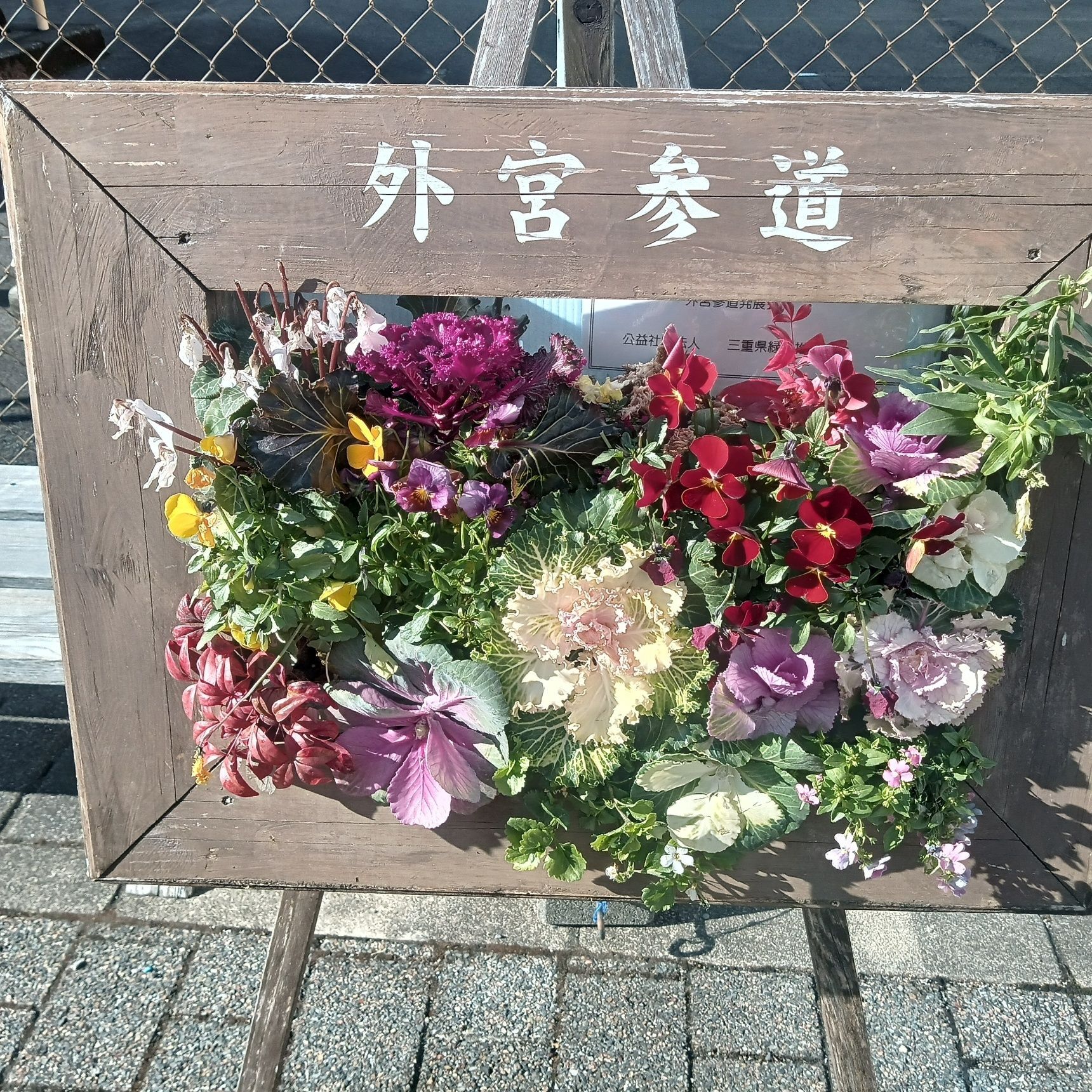 額縁仕様のミニ花壇