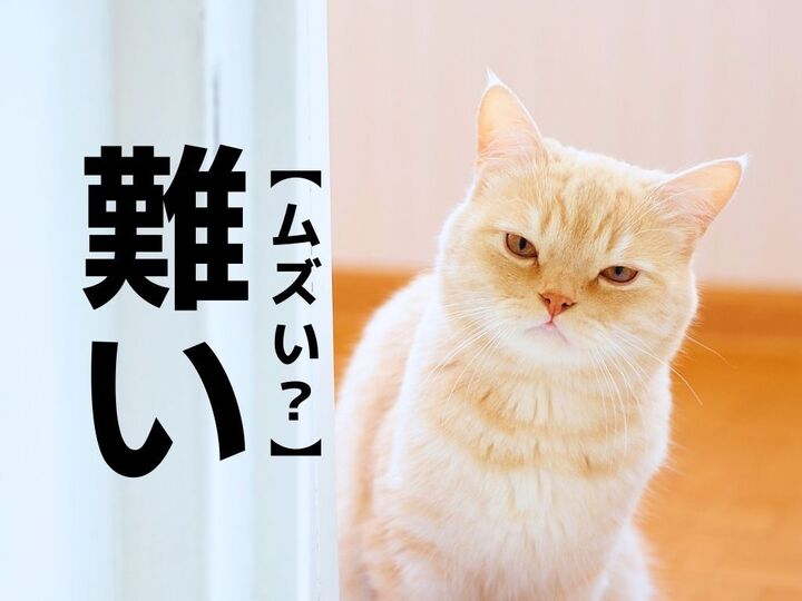 【難い】なんて読む?うっかり「ムズい」と読んだら笑われます!【読めないと恥ずかしい漢字クイズ】