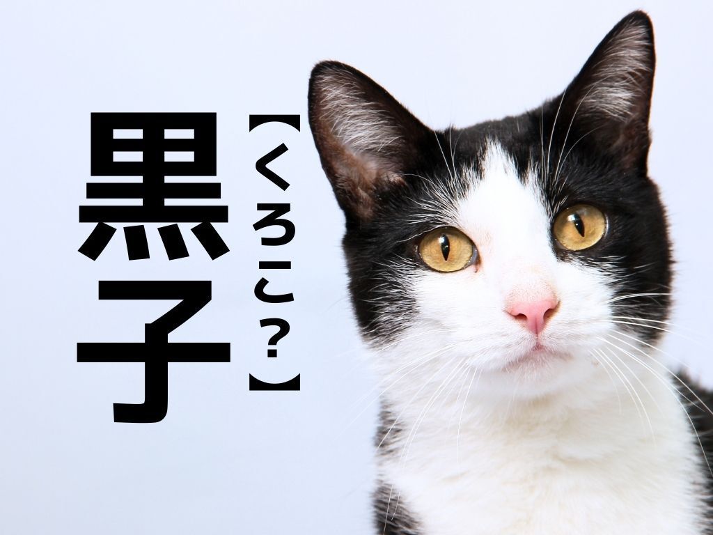 【黒子】は「くろこ」ではありません！ノーヒントで読めたらカッコイイ♪【読めそうで読めない漢字クイズ】