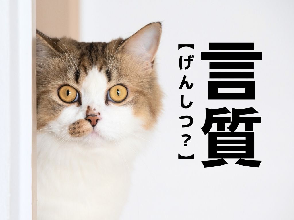 【言質】は「げんしつ」ではありません。読めないと交渉がうまく進まないかも！？【読めそうで読めない漢字クイズ】