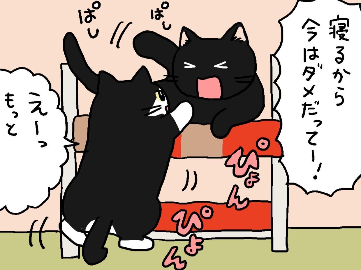 ボクたち、末っ子ズ！【てらねこミー子の日常】