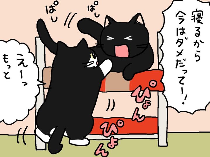 ボクたち、末っ子ズ!【てらねこミー子の日常】