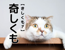 【奇しくも】を「きしくも」と読んだら笑われる！？正しい読み方は？【読めないと恥ずかしい漢字クイズ】