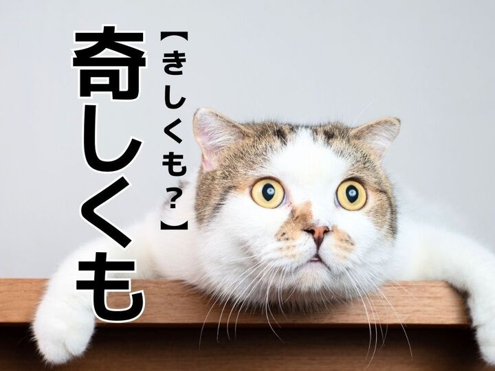 【奇しくも】を「きしくも」と読んだら笑われる!?正しい読み方は?【読めないと恥ずかしい漢字クイズ】