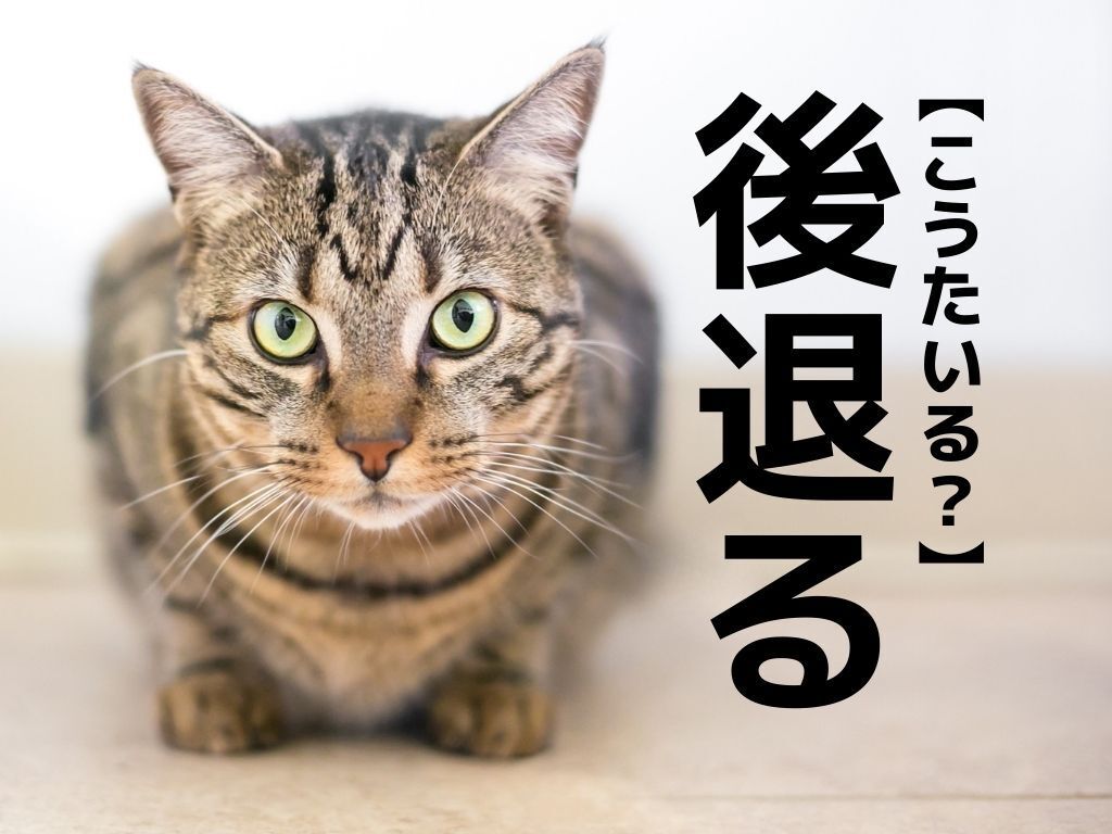 【後退る】なんて読む？「こうたいる」ではありませんよ！【読めそうで読めない漢字クイズ】