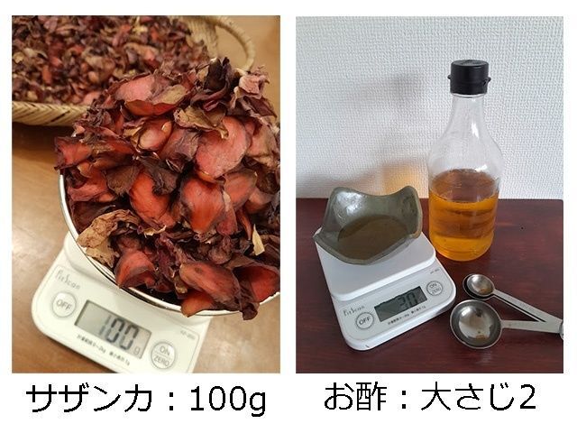 1.サザンカの草木染めの材料と準備