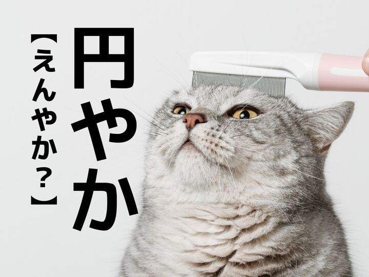 【円やか】なんて読む?一発で読めたらスゴイ!【読めそうで読めない漢字クイズ】