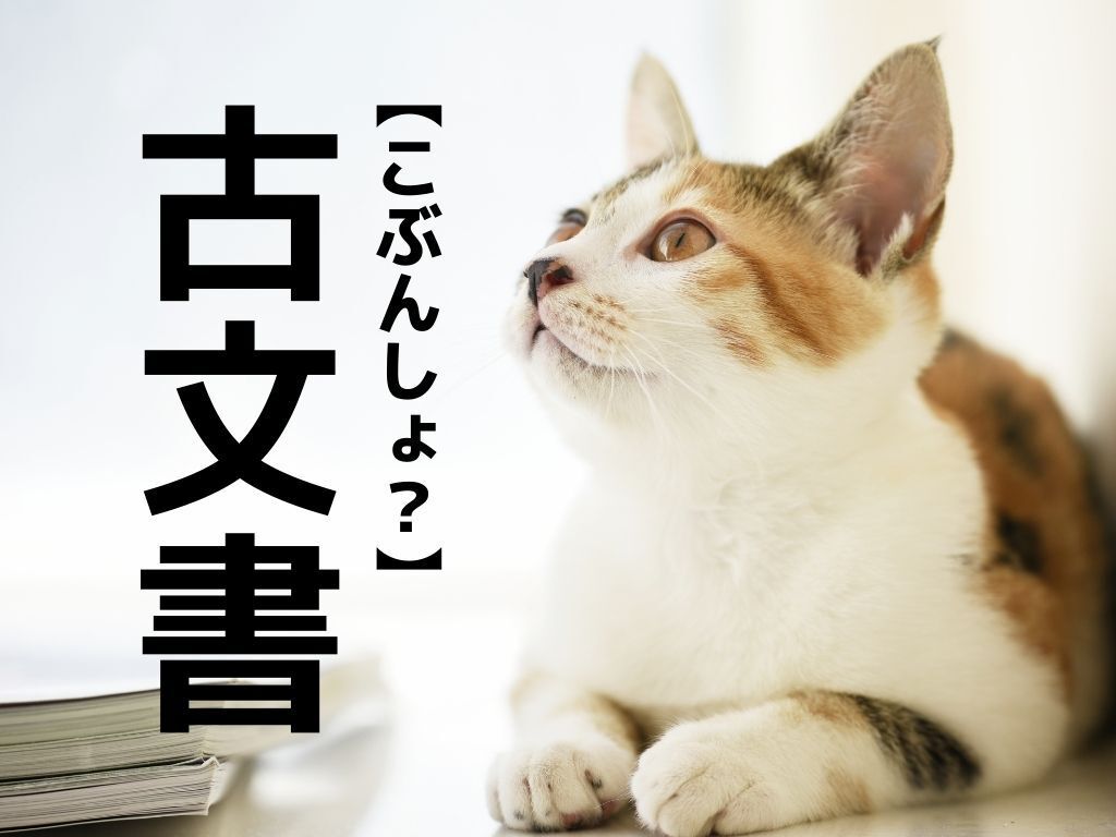 【古文書】を「こぶんしょ」と読み間違えてない？【読めないとちょっと恥ずかしい漢字クイズ】