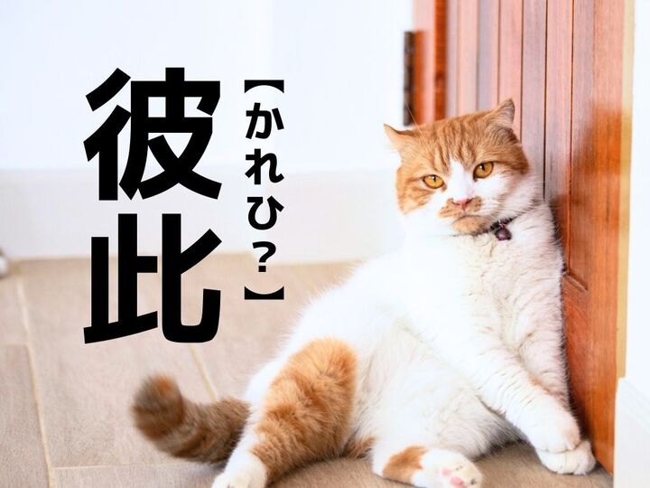 【彼此】なんて読む?「かれひ」ではありませんよ!【読めそうで読めない漢字クイズ】