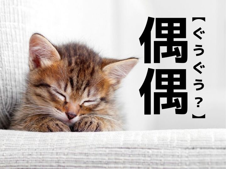 【偶偶】なんて読む?「ぐうぐう」ではありませんよ!【読めそうで読めない漢字クイズ】