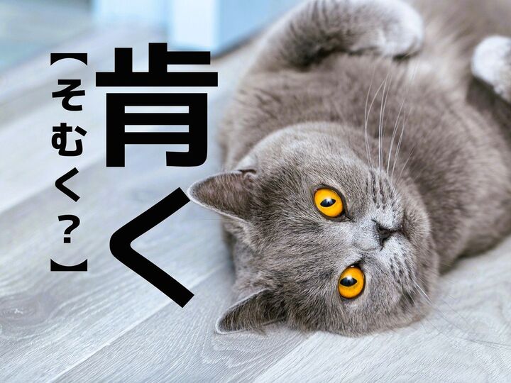 【肯く】を「そむく」と読んだら笑われる!?正しい読み方は?【読めそうで読めない漢字クイズ】