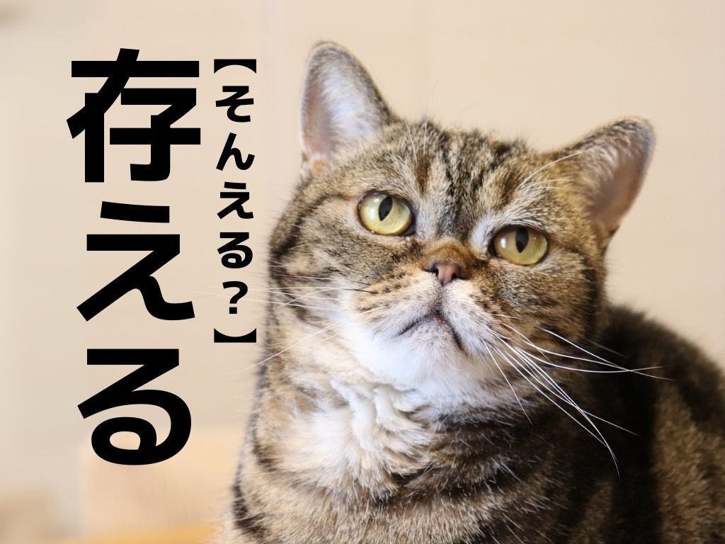 【存える】なんて読む？「そんえる」でも「ぞんえる」でもないですよ！【読めそうで読めない漢字クイズ】