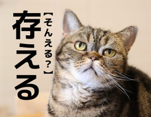 【存える】なんて読む？「そんえる」でも「ぞんえる」でもないですよ！【読めそうで読めない漢字クイズ】