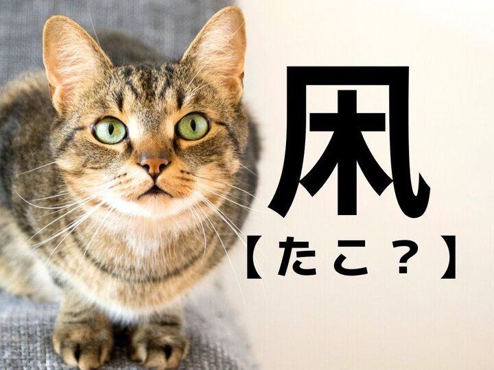 【凩】は「タコ」ではありませんよ!実は漢字検定1級レベルの難読漢字です【読めたらスゴイ!漢字クイズ】
