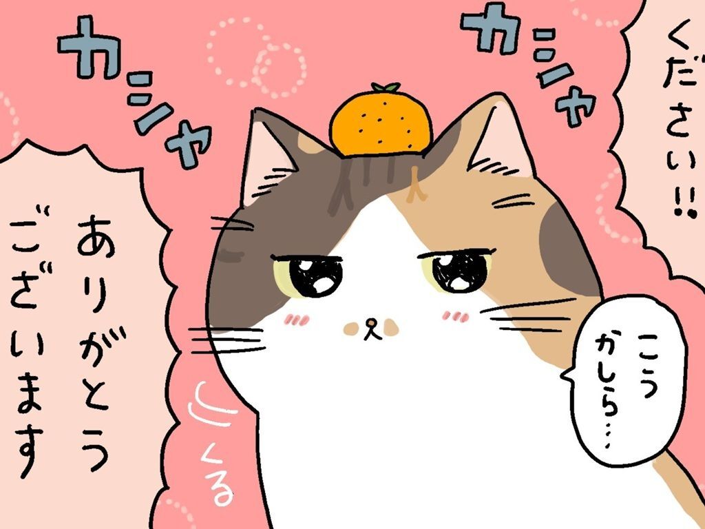 ミー子、めちゃくちゃ甘やかされる。【てらねこミー子の日常】