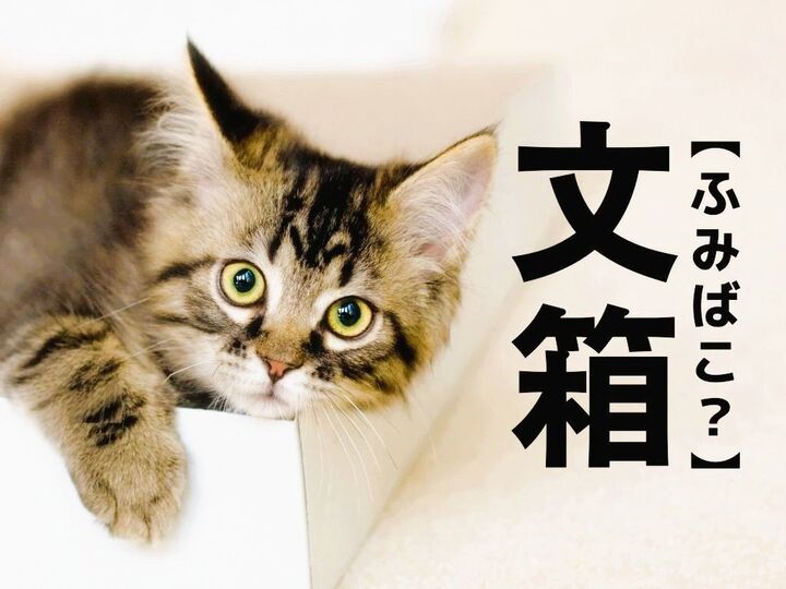 【文箱】は「ふみばこ」とは読まない!?答えを知ると→「雅な読み方!」「なんだかおしゃれ…」|漢字クイズ
