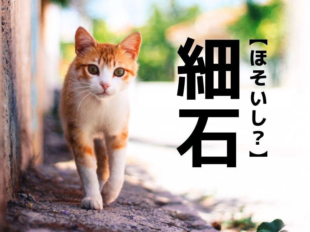 【細石】なんて読む？「ほそいし」でも「こまいし」でもありません。超有名な&quot;あの歌&quot;に登場します｜漢字クイズ