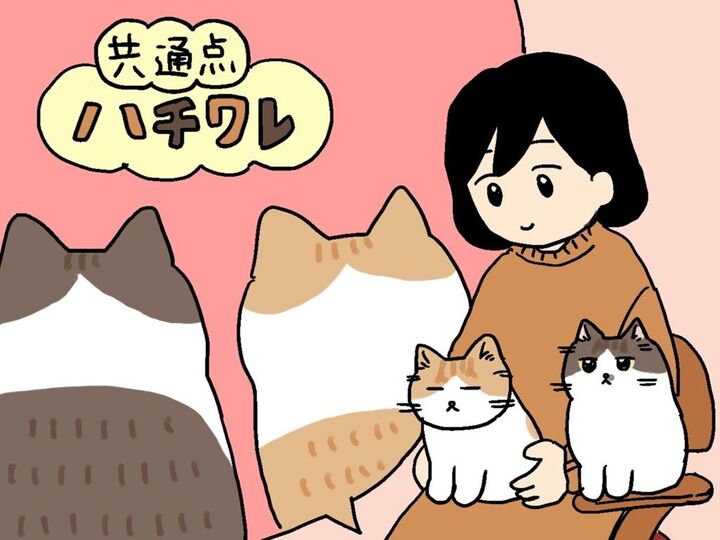似たもの同士?と思いきや…【てらねこミー子の日常】