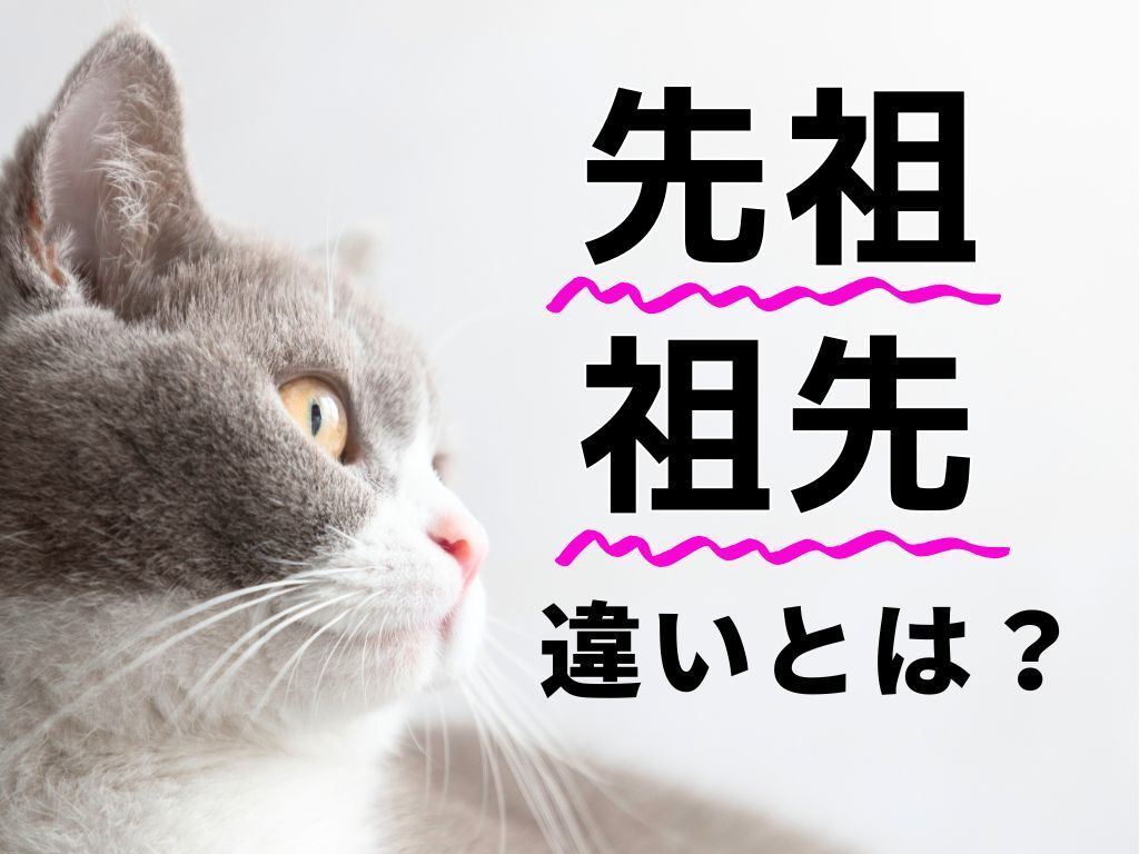 「先祖」と「祖先」の違い、わかる？その使い分け、間違ってるかも！【意外と知らない日本語クイズ】