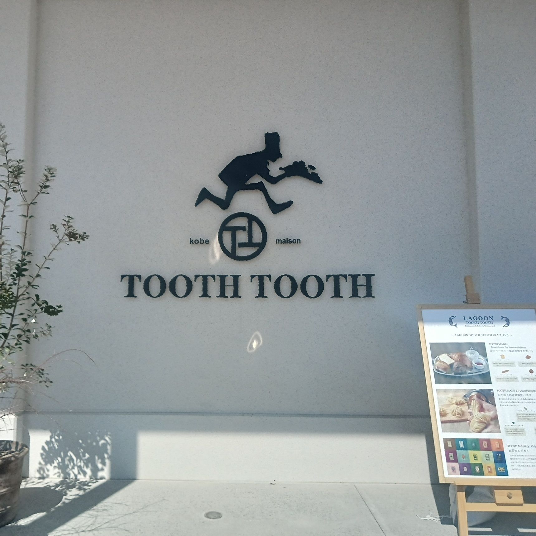 「 TOOTH TOOTH」