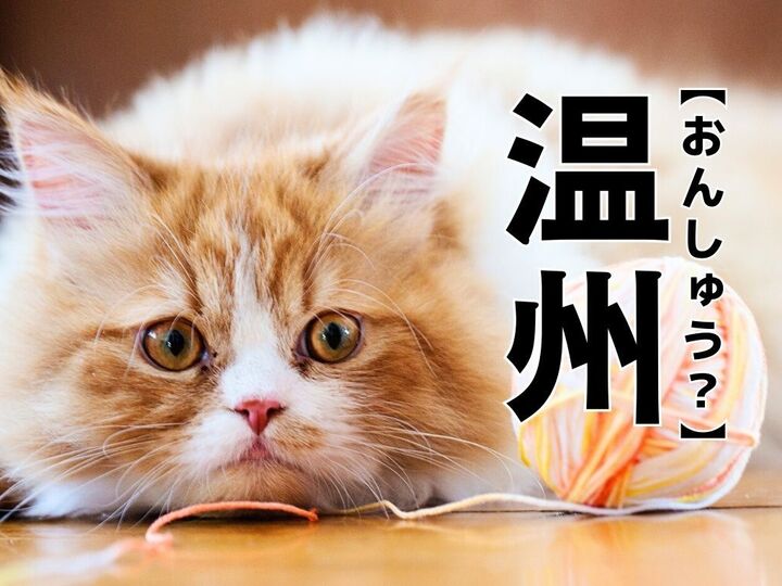 【温州】を「おんしゅう」と読んだら笑われる!?【読めないと恥ずかしい漢字クイズ】
