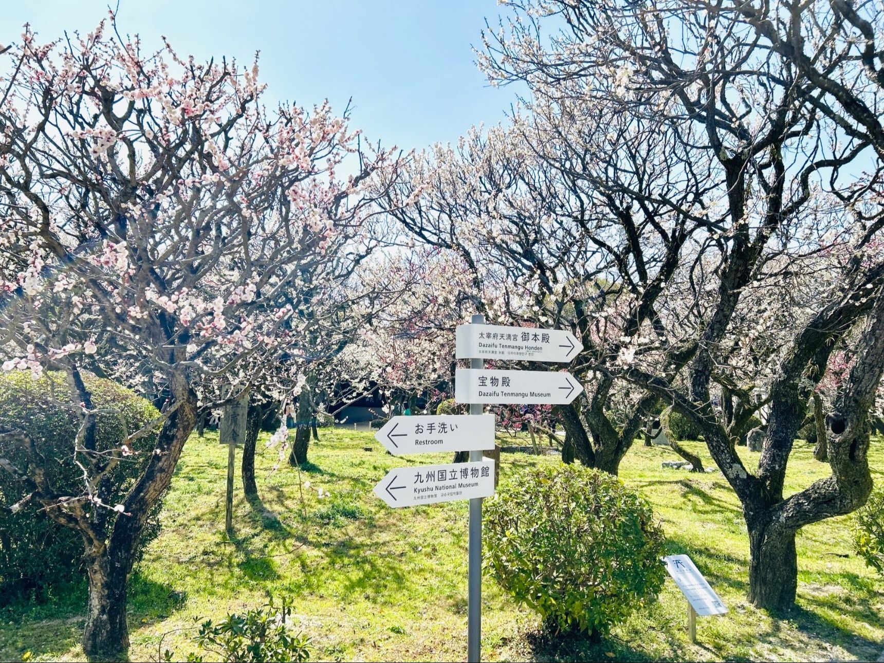 九州国立博物館の隣には…