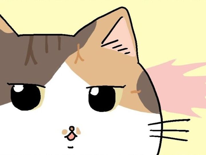 もしかして…チャンス到来!?【てらねこミー子の日常】