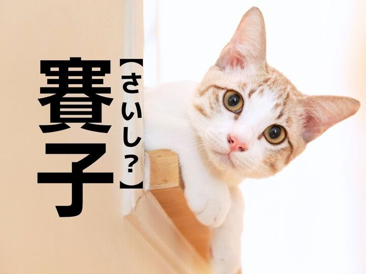 【賽子】なんて読む?「さいし」ではありませんよ。一度は遊んだことがあるはず!?【漢字クイズ】