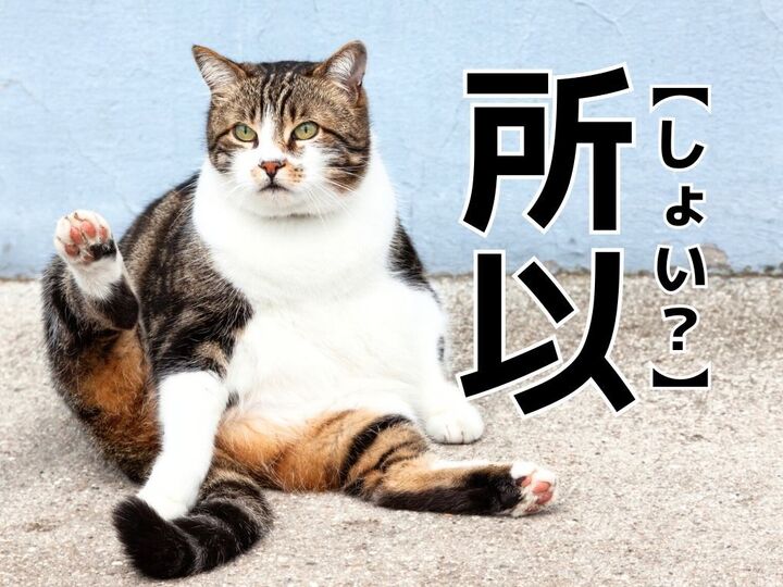 【所以】なんて読む?「しょい…?」ではありませんよ!【読めそうで読めない漢字クイズ】