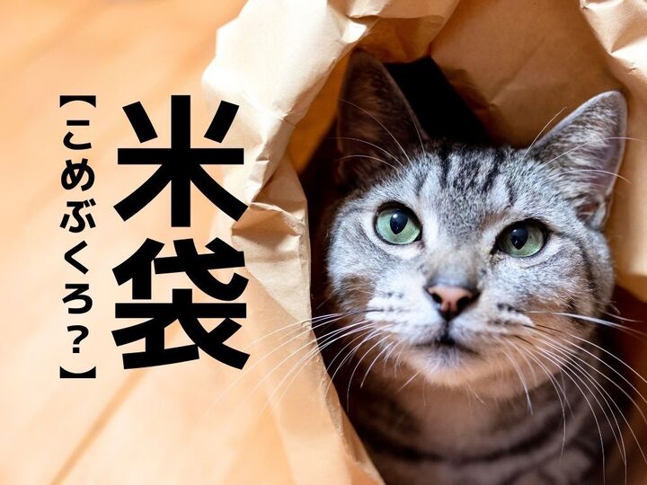 【米袋】は「こめぶくろ」と読まない!?業界用語では何と言う?【意外と知らない漢字クイズ】