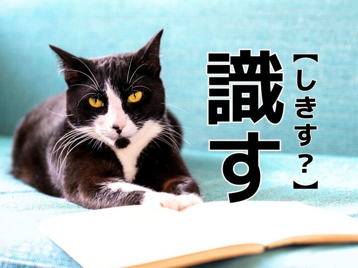 【識す】なんて読む?「しきす」ではありませんよ!【読めそうで読めない漢字クイズ】