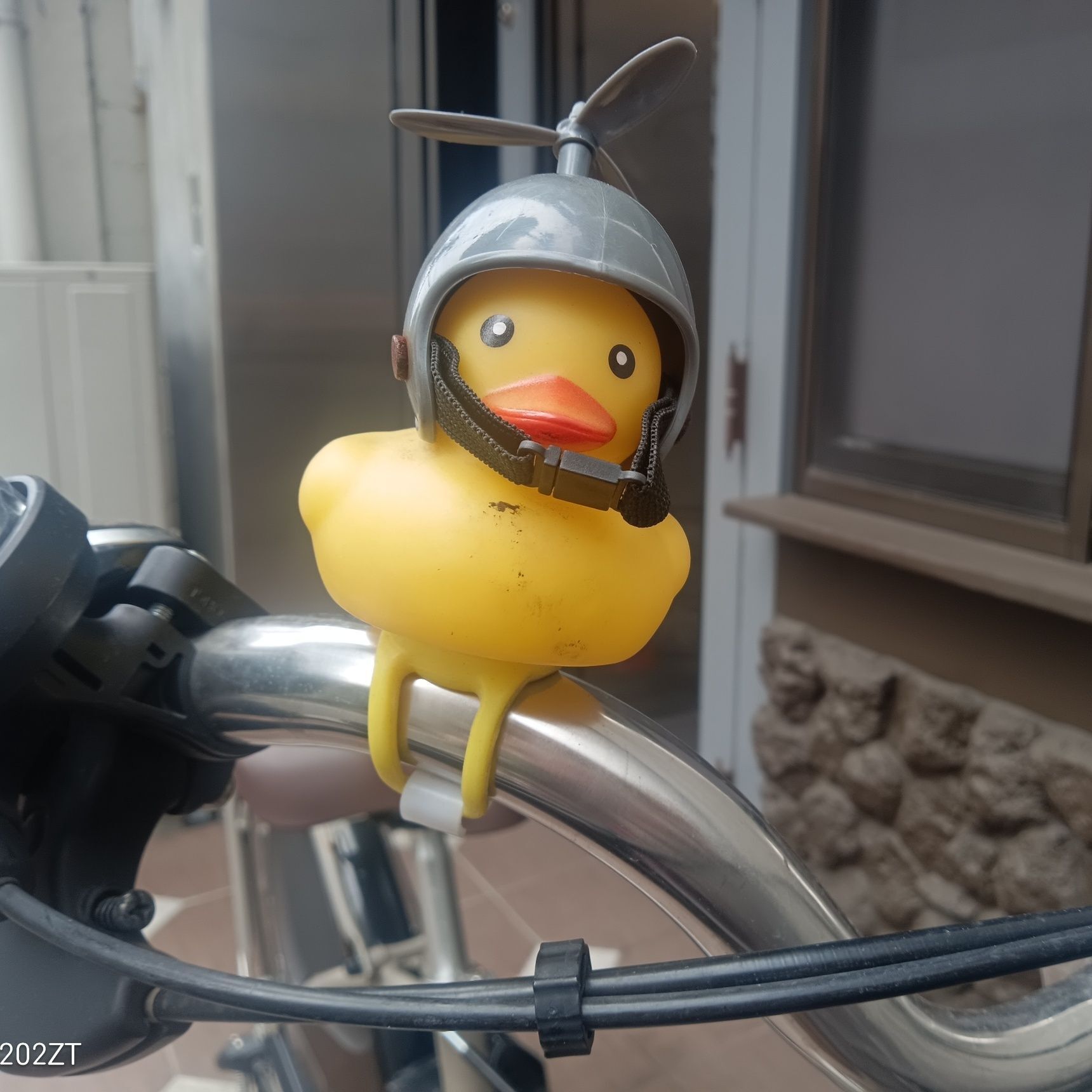 なんか、寒そう隊長！！