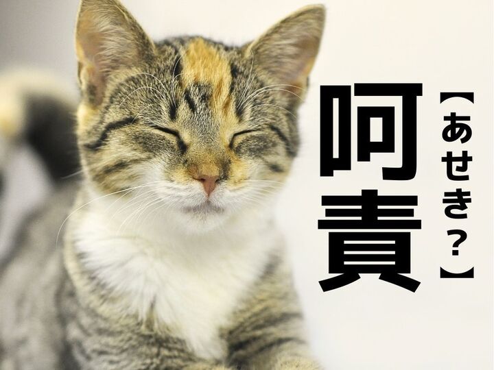 【呵責】なんて読む?「あせき」ではありませんよ!【読めそうで読めない漢字クイズ】