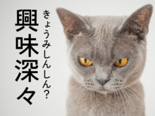 きょうみしんしんは「興味深々」じゃない。【書けないと恥ずかしい漢字クイズ】