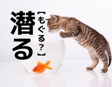 【潜る】は「もぐる」だけじゃない！？もうひとつの読み方知ってますか？【読めそうで読めない漢字クイズ】