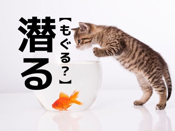 【潜る】は「もぐる」だけじゃない!?もうひとつの読み方知ってますか?【読めそうで読めない漢字クイズ】