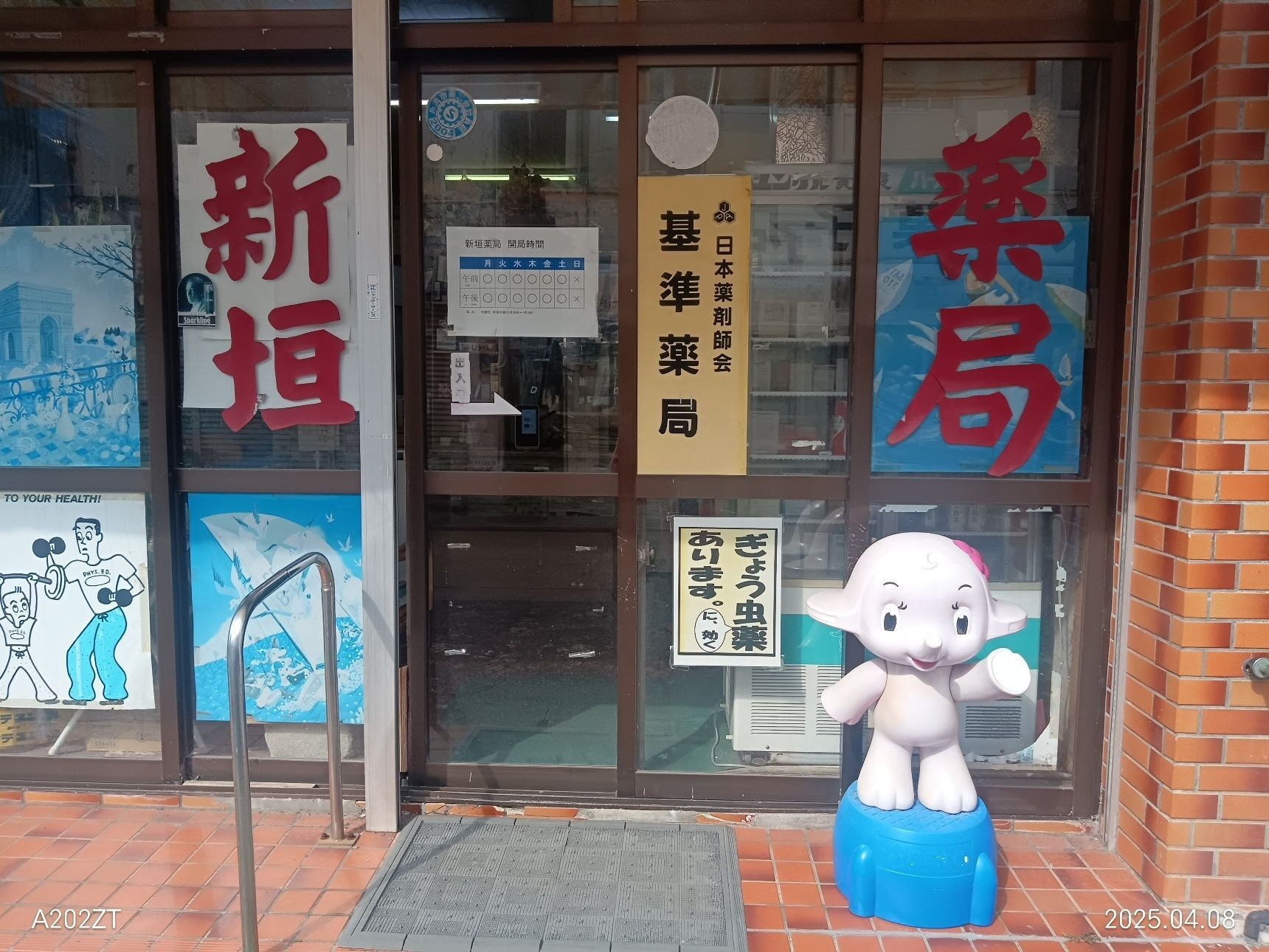 琉球あるある、新垣多め。。。この象のこどもも懐かしい！！