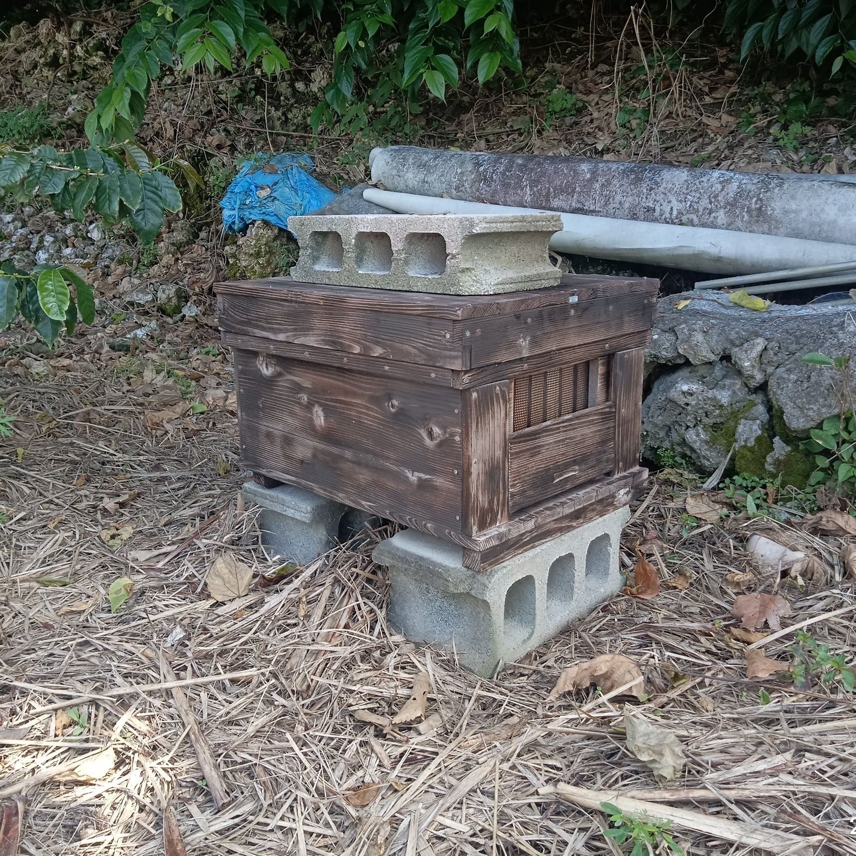 coach農園