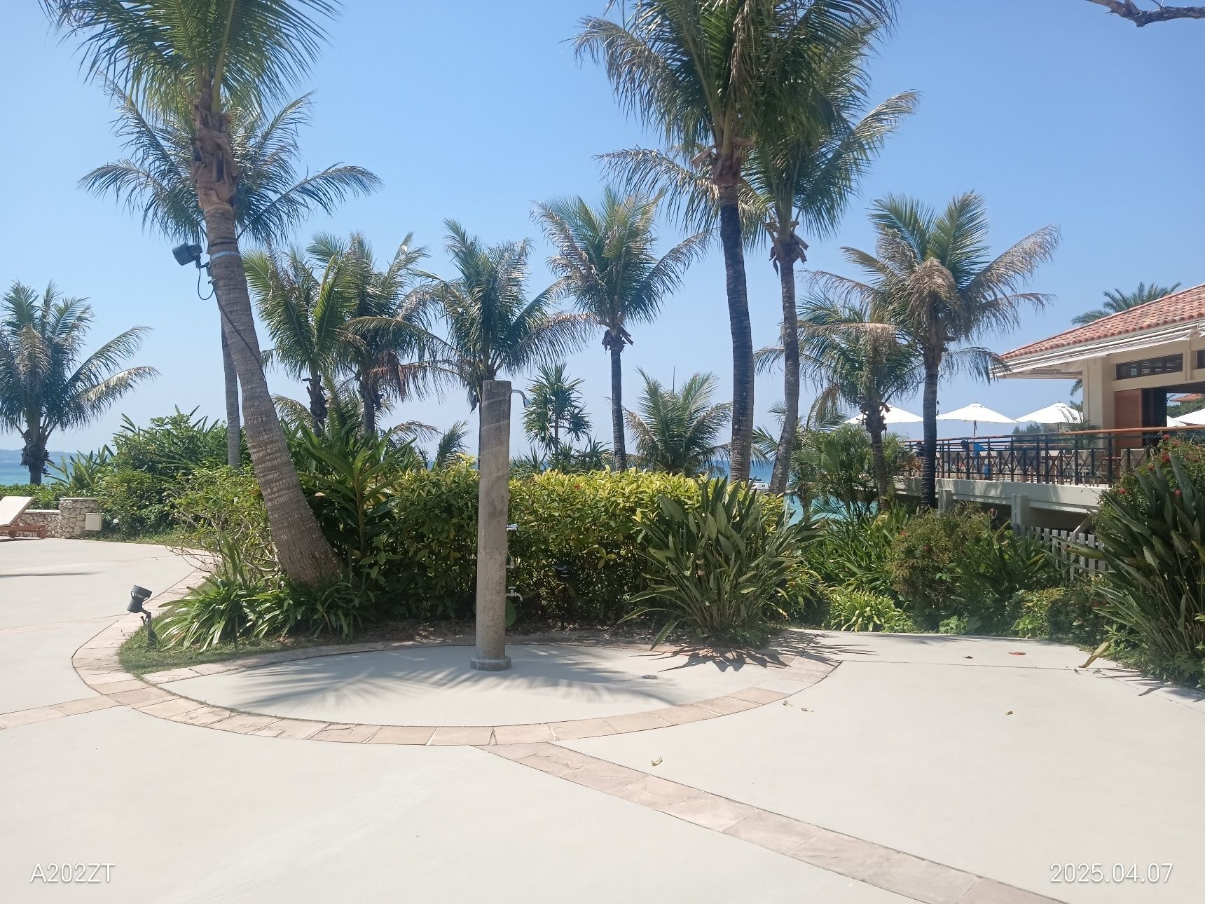 Busena プールの庭園