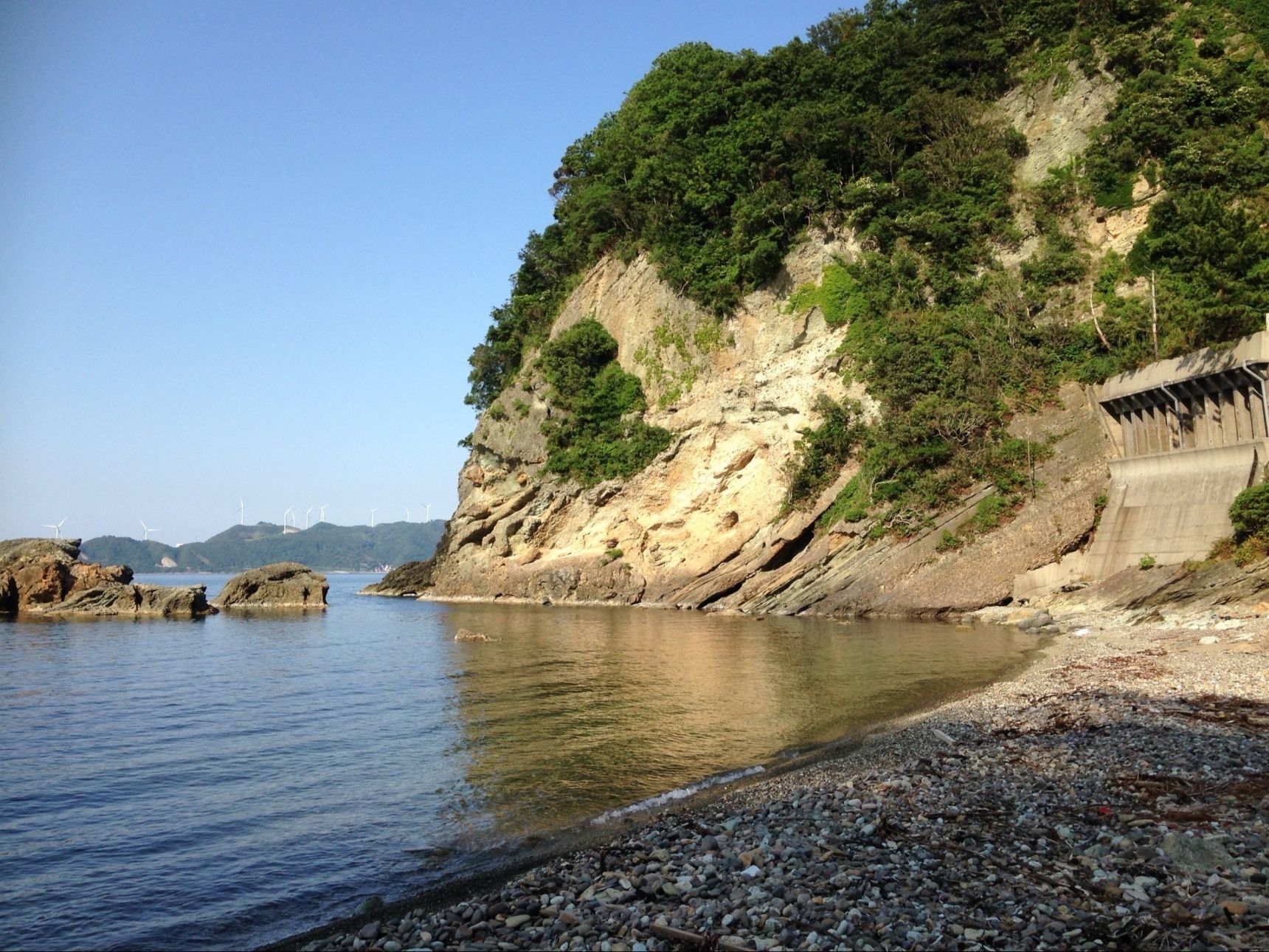 日本のお魚事情