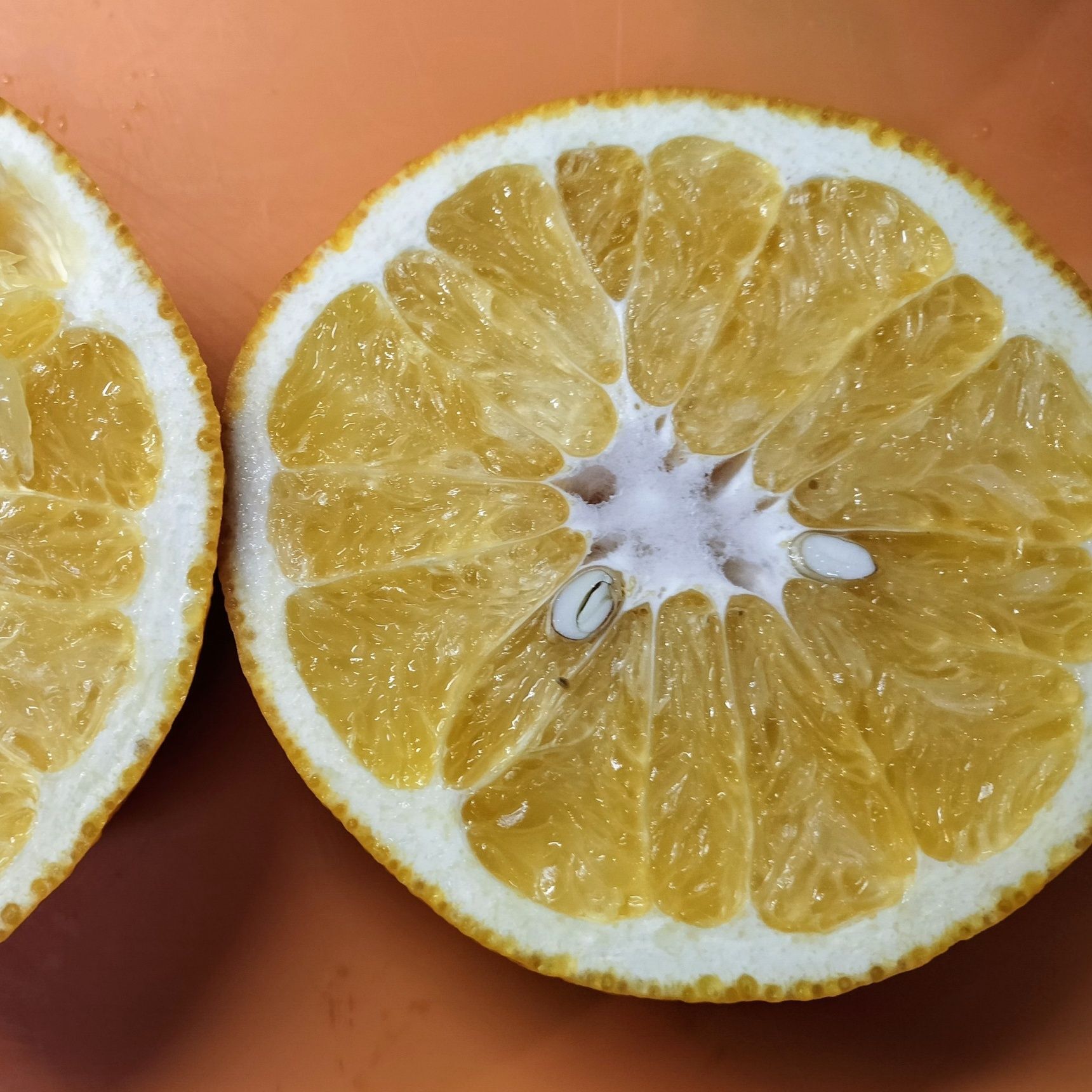 1.サンフルーツを横半分に切る→グレープフルーツスプーン等で果肉を取り出し、ボウル等に入れる→取り切れなかった果肉は絞って果汁として加える