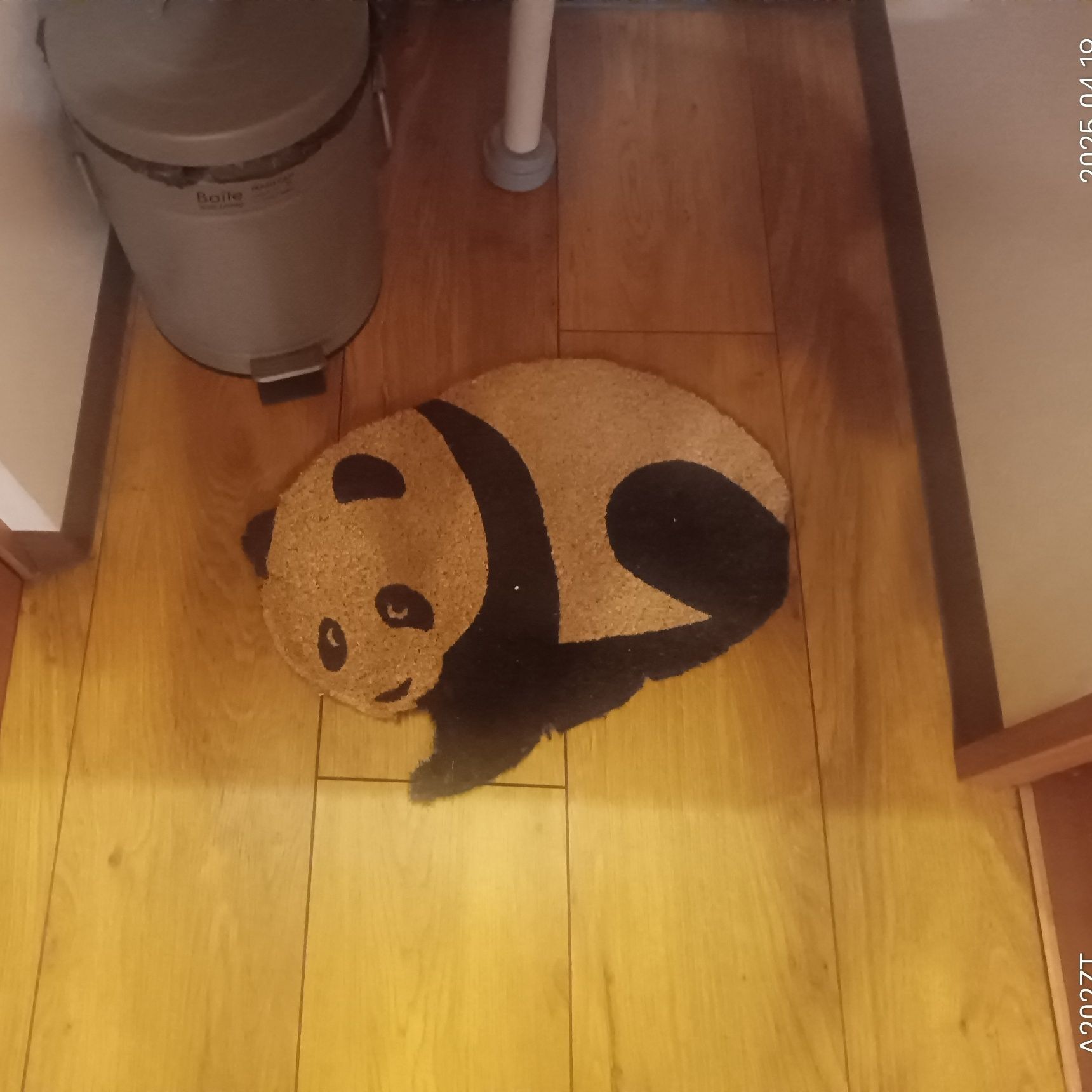 マットも