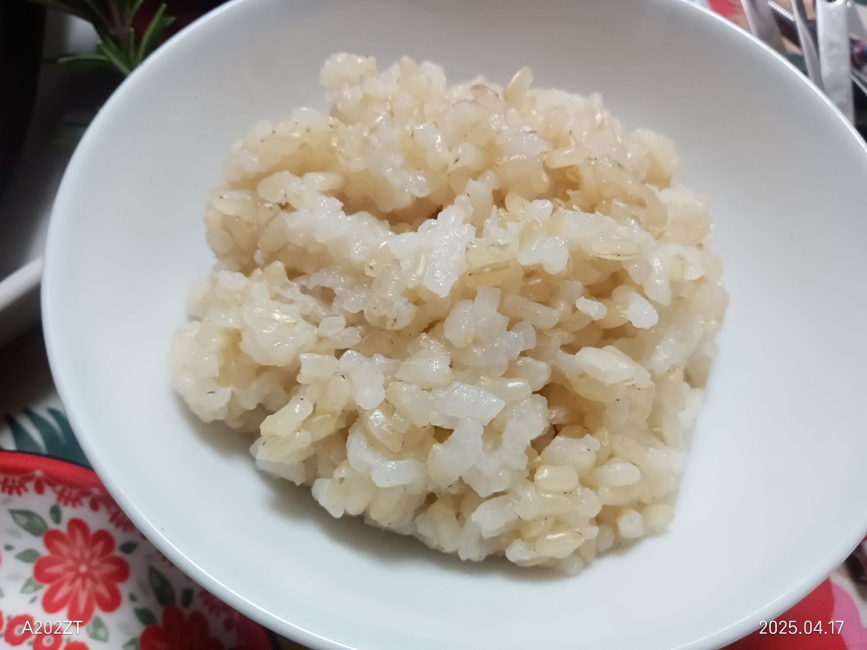玄米ご飯