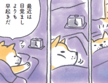 柴犬食堂の朝は早い。「今日もいい1日になりそうだ～」【柴犬食堂#1】