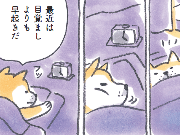 柴犬食堂の朝は早い。「今日もいい1日になりそうだ~」【柴犬食堂#1】