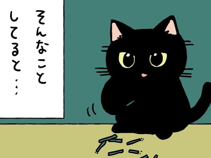 やんちゃなクロが苦手なもの。【てらねこミー子の日常】