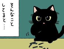 やんちゃなクロが苦手なもの。【てらねこミー子の日常】