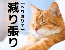 【減り張り】を「へりはり」と読んだら笑われます！答えはまさかのあの言葉！【読めないと恥ずかしい漢字クイズ】