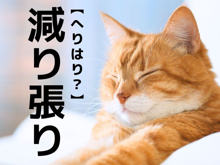 【減り張り】を「へりはり」と読んだら笑われます!答えはまさかのあの言葉!【読めないと恥ずかしい漢字クイズ】